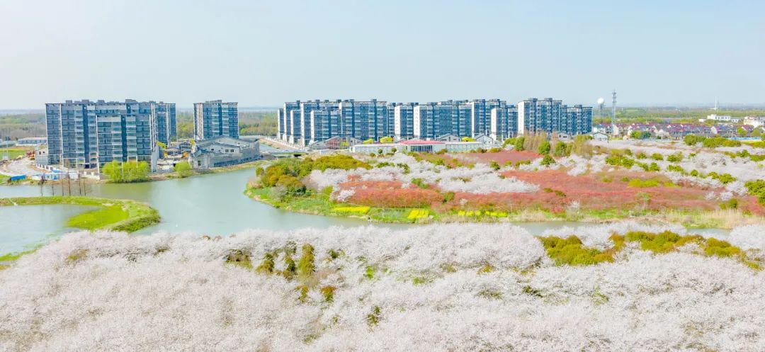 華為研發中心動遷基地.jpeg