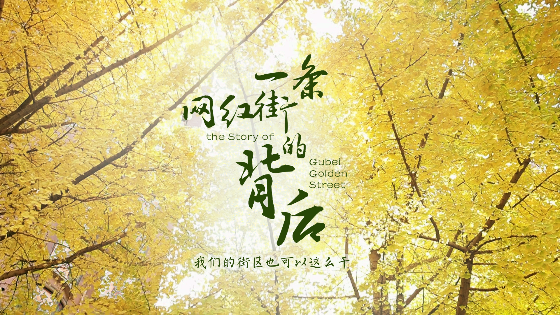 百姓話思想系列視頻第一季第四集：《一條網紅街的背后》